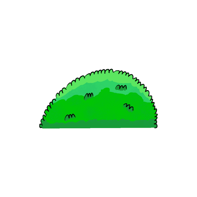 A bush drawing